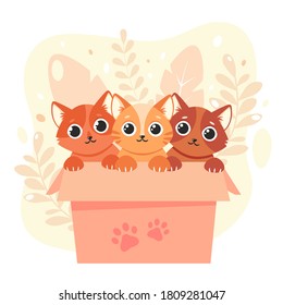 Adopt a pet. Cute kittens in the box. Vector illustration in flat style