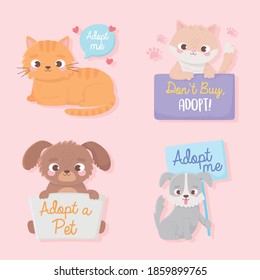 adopt a pet, cute little dogs and cats animals with board lettering vector illustration