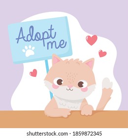 adopt a pet, cute little kitten with placard and hearts vector illustration