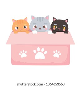 adopt a pet, cute three little kittens in the pink box vector illustration
