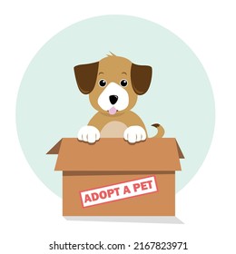Adopta a un perro mascota lindo