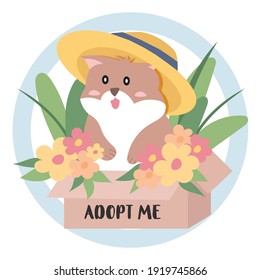 Adopt A Pet, Don't Buy, Take me home