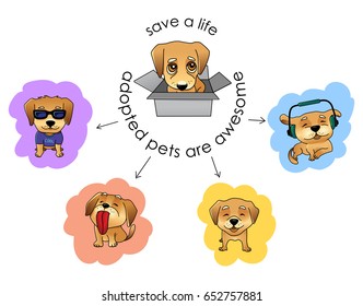 Adopt a pet vector illustration, nice sad puppy in a box and the same puppy happy when adopted