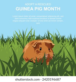 Adopt a Rescued Guinea Pig Month background. Vector illustration.