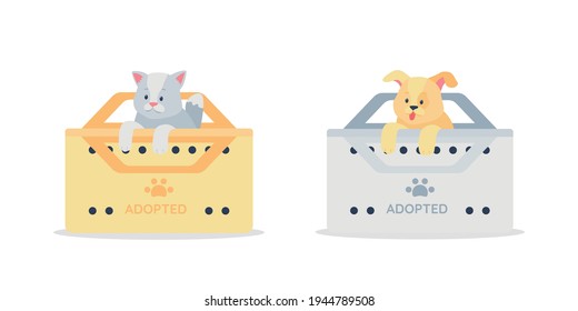 Adopted grey cat and golden dog flat color vector detailed character set. Rescue homeless puppy and kitten. Pet care isolated cartoon illustration for web graphic design and animation collection