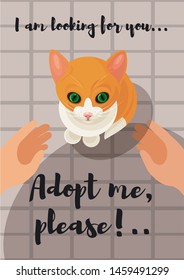 Adopting a cat flyer design. The dog is looking up imploringly in your eyes, hands reach to animal to take it. Vector illustration for poster, postcard,  web banner for animal shelter