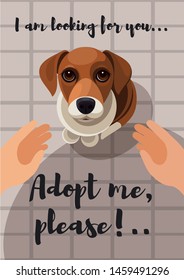Adopting a dog flyer design. The dog is looking up imploringly in your eyes, hands reach to animal to take it.  Vector illustration for poster, postcard,  web banner for animal shelter