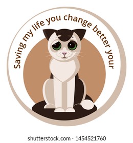 ADOPTING HOMELESS CAT STIKER GESING WITN THE CAPTION "SAVING MY LIFE YOU CHANGE BETTER YOUR"