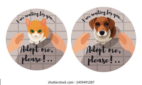 Adopting homless animals sticker set. The cat/dog is looking up imploringly in your eyes, hands reach to animal to take it. Vector illustration for animal shelter