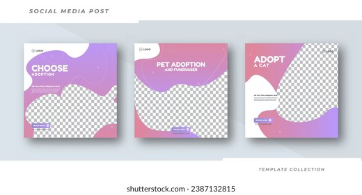 Adoption cat Best need service pet shop, animal care promotion banner social media pack template premium vector