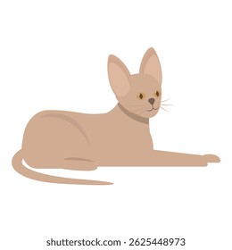 Adorable abyssinian cat relaxing at home in flat design