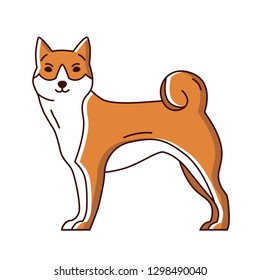 Adorable Akita or Shiba Inu. Cute purebred dog or puppy isolated on white background. Funny lovely domestic animal or pet of Japanese breed. Colorful vector illustration in modern line art style.