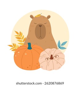 Adorable animal capybara with pumpkins and leaves