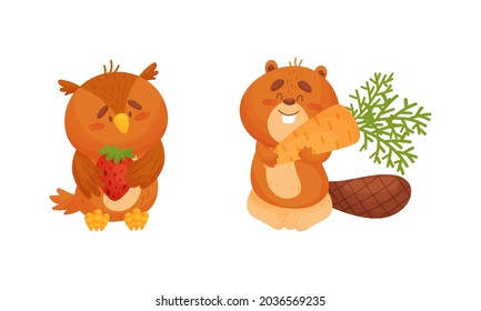 Equipo de recolección de animales adorables. Ilustración vectorial de la fresa y la zanahoria del oso y el búho