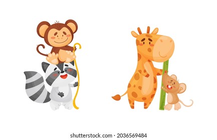 Animales adorables que miden el conjunto de altura. Mono, mapache, jirafa, ratoncito, animales de la boca comparando ilustración vectorial de caricatura de altura