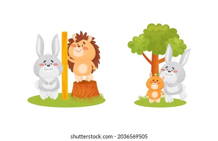 Adorable animals measuring height set. Cute fox, rabbit, hedgehog, hamster animals comparing height cartoon vector illustration