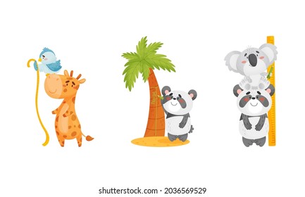 Adorable animals measuring height set. Cute koala, bird, giraffe, panda animals comparing height cartoon vector illustration