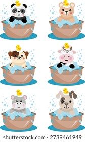 Adorable Baby Animals Having A Bubble Bath With Rubber Ducks
