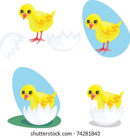 adorable baby chicken set with egg