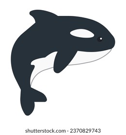 Adorable baby orca whale character isolated illustration