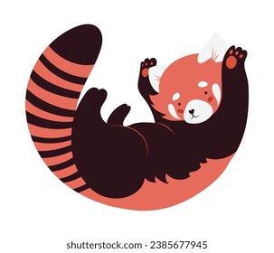 Adorable baby red panda lying on its back with raised paws, isolated vector illustration in flat design