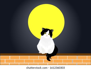 Adorable back and white persian tuxedo cat sitting on red brick wall with full moon at night. Isloated on dark background. Vector Illustration. 