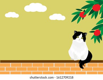 Adorable back and white persian tuxedo cat sitting on red brick wall. Isloated on whilte clouds and yellow sky background. Vector Illustration. Idea for animal's cute template and background.