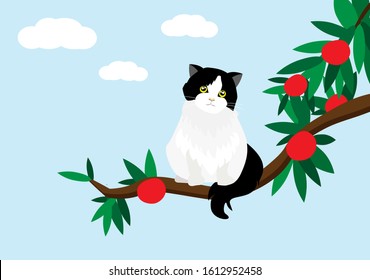 Adorable back and white persian tuxedo cat sitting on branch of red  fruits tree. Isloated on whilte clouds and blue sky background. Vector Illustration.Idea for animal's cute template and background.