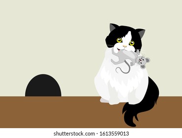 Adorable back and white persian tuxedo cat holding small mouse in mouth. Isloated on whilte background. Vector Illustration. Idea for cat behavior/ instinct and animal's cute template, background.