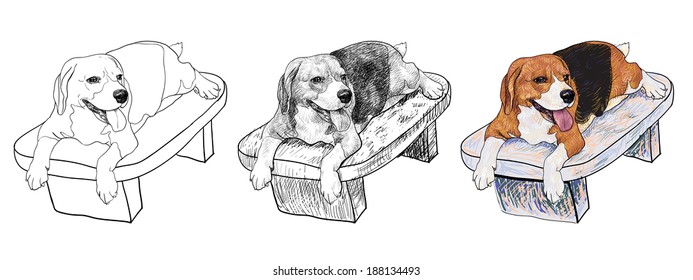 Adorable Beagle laying on marble bench Chair