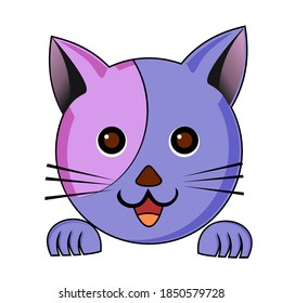 adorable beautiful and cute cat with beautiful purple color