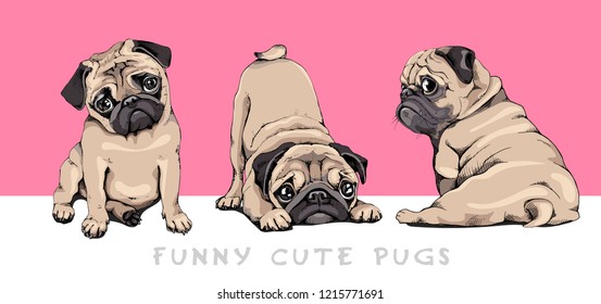 Adorable beige Pug puppies on a pink background. Humor set, hand drawn style print. Vector illustration.