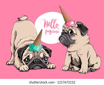 Adorable beige puppies Pugs in a ice cream party cap on a pink background. Hello Pugicorn - lettering quote. Humor card, t-shirt composition, hand drawn style print. Vector illustration.