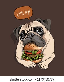 Adorable beige puppy Pug with a big burger. let's try - lettering quote. Humor card, t-shirt composition, hand drawn style print. Vector illustration.