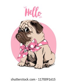 Adorable beige puppy Pug with a bow tie on a pink background. Hello - lettering quote. Humor card, t-shirt composition, hand drawn style print. Vector illustration.