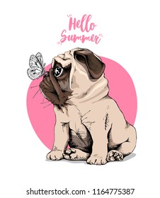 Adorable beige puppy Pug with a butterfly on a pink background. Hello summer - lettering quote. Humor card, t-shirt composition, hand drawn style print. Vector illustration.