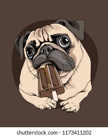 Adorable beige puppy Pug with a chocolate ice cream on a brown background. Humor card, t-shirt composition, hand drawn style print. Vector illustration.