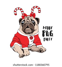 Adorable cachorro beige Pug en un divertido lollipop de cabeza y en una chaqueta roja. Fiesta de pug de cereza - cita con letras. Tarjeta Navidad y Año Nuevo, composición en pantalones t, ilustración vectorial hecha a mano.