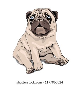 Adorable beige puppy Pug. Humor card, t-shirt composition, hand drawn style print. Vector illustration.
