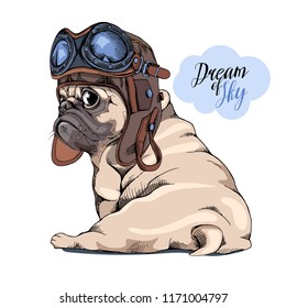 Adorable beige puppy Pug in a Pilot helmet with glasses. Dream of sky - lettering quote. Humor card, t-shirt composition, hand drawn style print. Vector illustration.