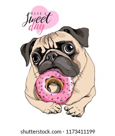 Adorable beige puppy Pug with a pink donut. Have a sweet day - lettering quote. Humor card, t-shirt composition, hand drawn style print. Vector illustration.