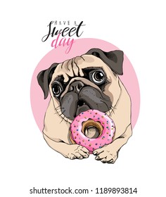 Adorable beige puppy Pug with a pink donut. Have a sweet day - lettering quote. Humor card, t-shirt composition, hand drawn style print. Vector illustration.