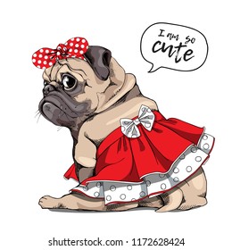 Adorable beige puppy Pug in a red skirt with a bow and in a headband. I am so cute - lettering quote. Humor card, t-shirt composition, hand drawn style print. Vector illustration. svg