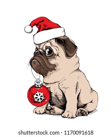 Adorável filhote de cachorro bege Pug em um boné de Papai Noel e com um brinquedo de vidro vermelho Natal. Cartão de Ano Novo, composição de t-shirt, ilustração vetorial artesanal.