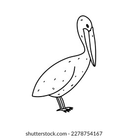 Adorable bird with big beak in hand drawn doodle style. Funny chick. Vector illustration. Pelican.