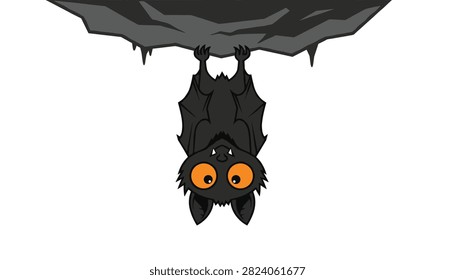 Adorable black bat and