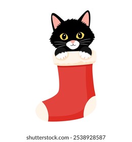 Adorable Black Cat in Christmas Stocking