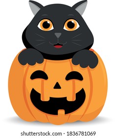 gatito negro adorable en una calabaza