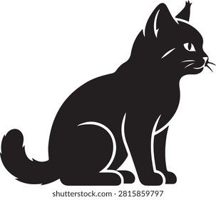 Adorable black  