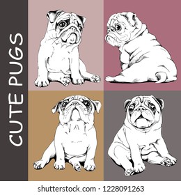 Adorable black and white Pug puppies. Сollection of a characters. Humor set, hand drawn style print. Vector illustration. svg